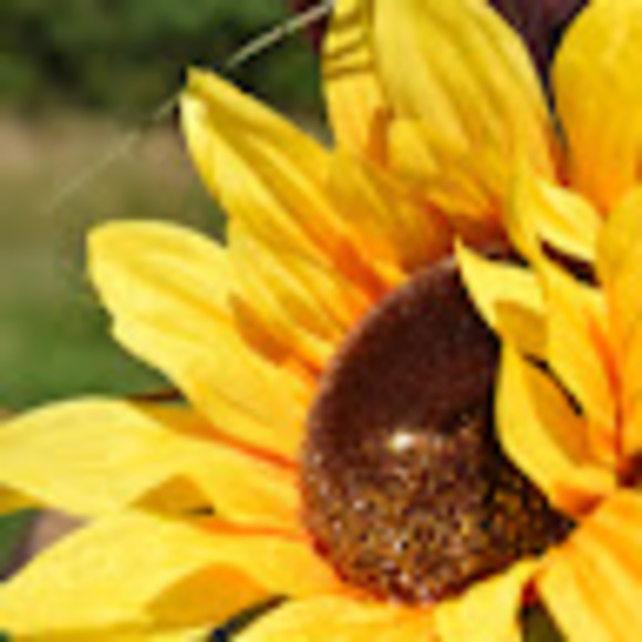 Meet your Posher, Caitlynn - Picture 1 of 1